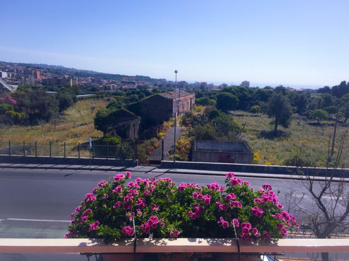 B&B Policlinico Gaspare Rodolico Catania-Fontanarossai nemzetközi repülőtér Kültér fotó